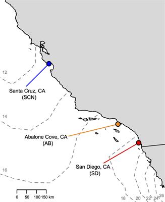 Variation in Thermal Tolerance and Its Relationship to Mitochondrial Function Across Populations of Tigriopus californicus